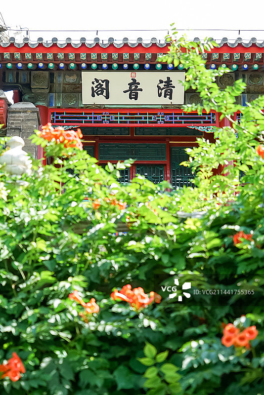 凌霄花与古代建筑图片素材