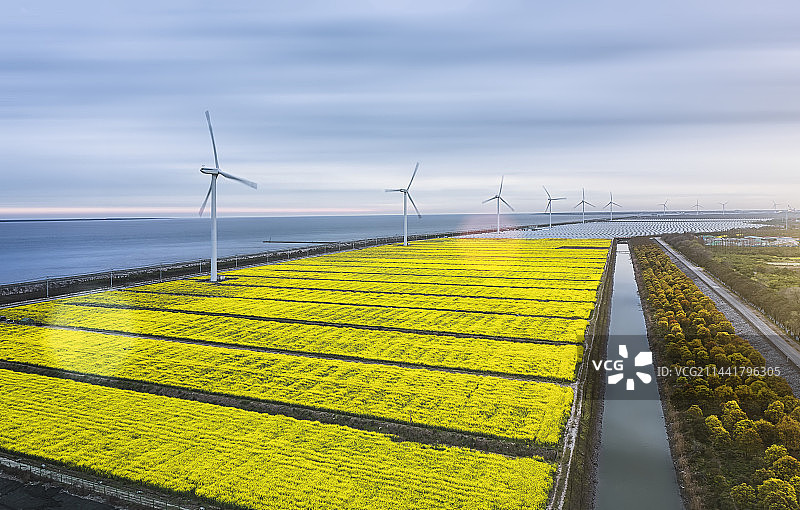 清晨的海边风电场图片素材