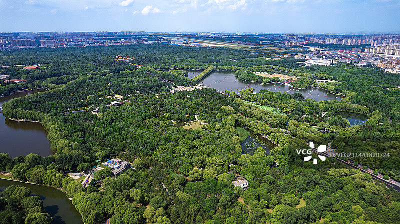 鸟瞰沈阳北陵公园园内森林风光图片素材