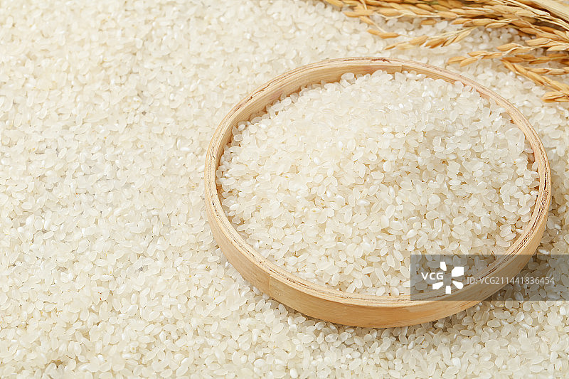 浅底上的五常大米图片素材