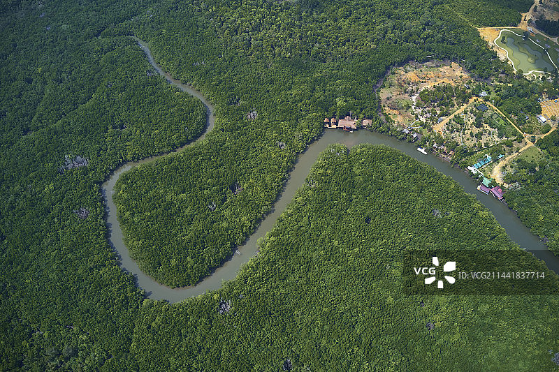 印度尼西亚民丹岛锡邦河红树林图片素材