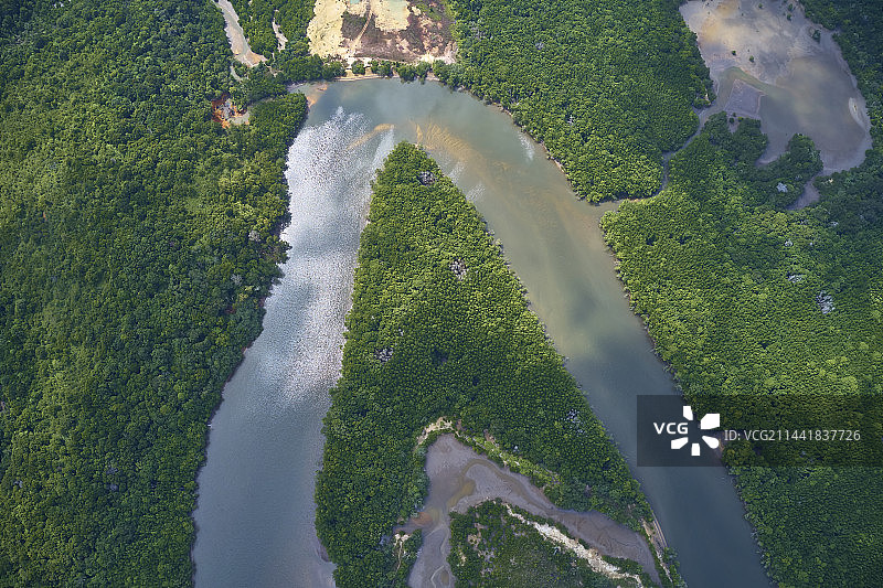 印度尼西亚民丹岛锡邦河红树林图片素材