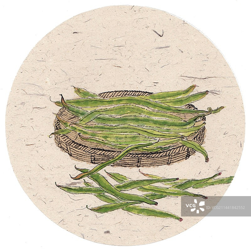 手绘时令蔬菜二十四节气插画小暑图片素材