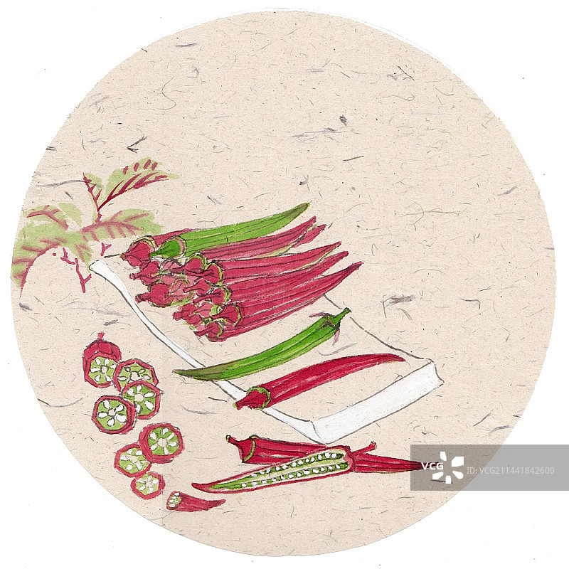 手绘时令蔬菜二十四节气插画立秋图片素材