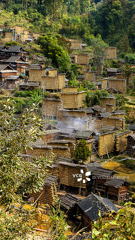 熊朝阳+《丰收》+ 贵州 占里侗寨图片素材