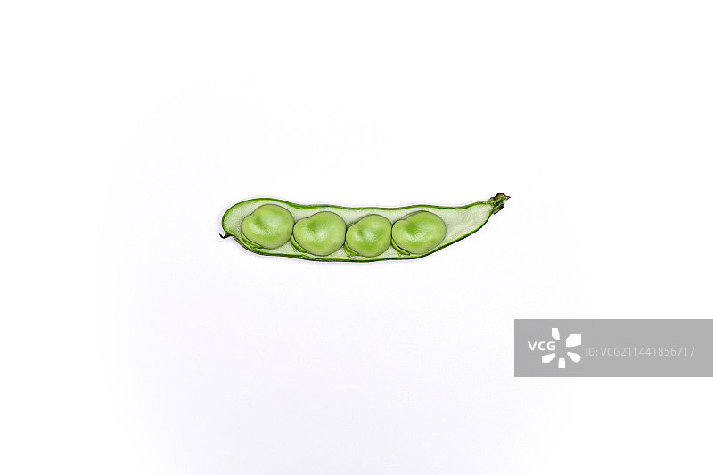 一个剥开的蚕豆放在白色背景上图片素材