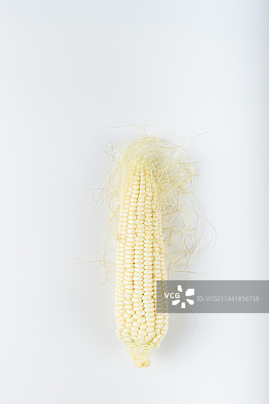 一个剥开的玉米放在白色背景上图片素材