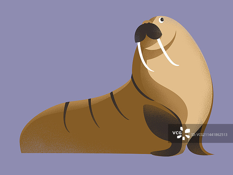 极地动物插画图片素材