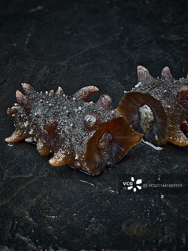 大连海参即食海参辽参图片素材