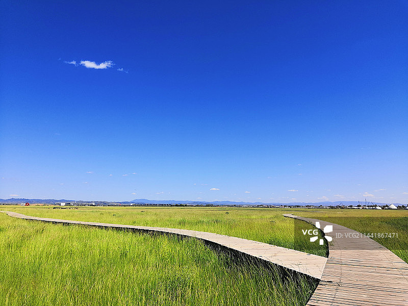 敕勒川草原·风吹草低见牛羊图片素材