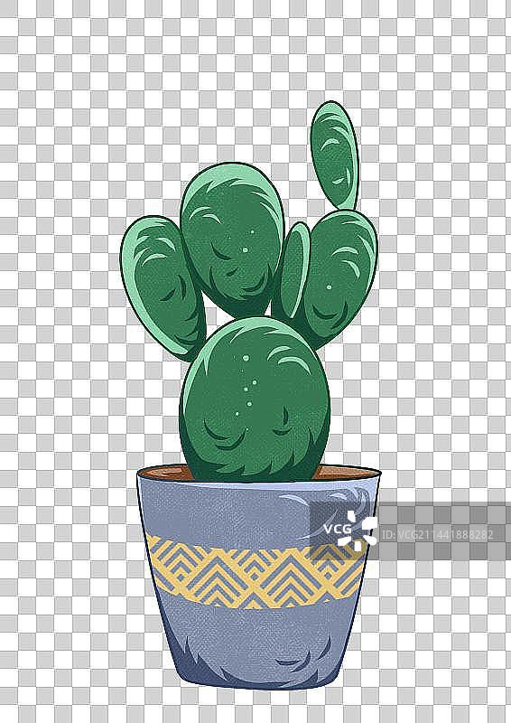 仙人球仙人掌植物插画元素图片素材