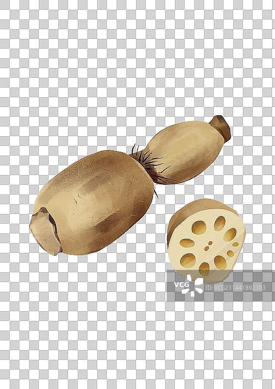 藕蔬菜食物插画元素图片素材