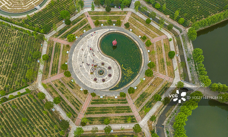 航拍视角下的八卦茶园图片素材