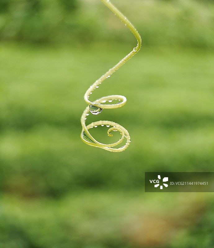 大自然的音符图片素材