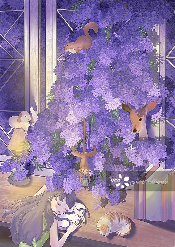 寂静的蓝楹花之夜图片素材