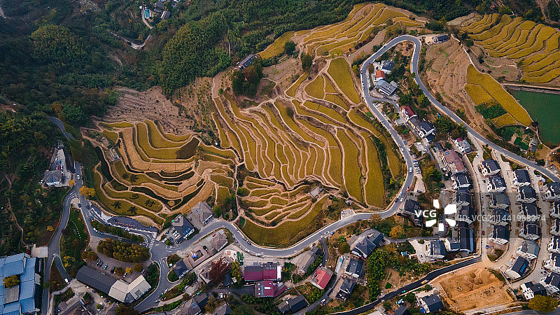 航拍 梯田 秋日丰收 指南村 金黄色图片素材