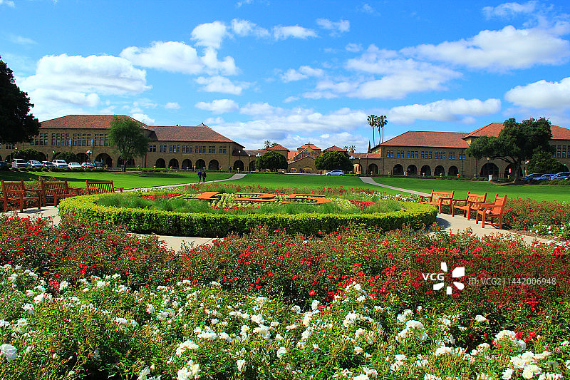 美国斯坦福大学图片素材
