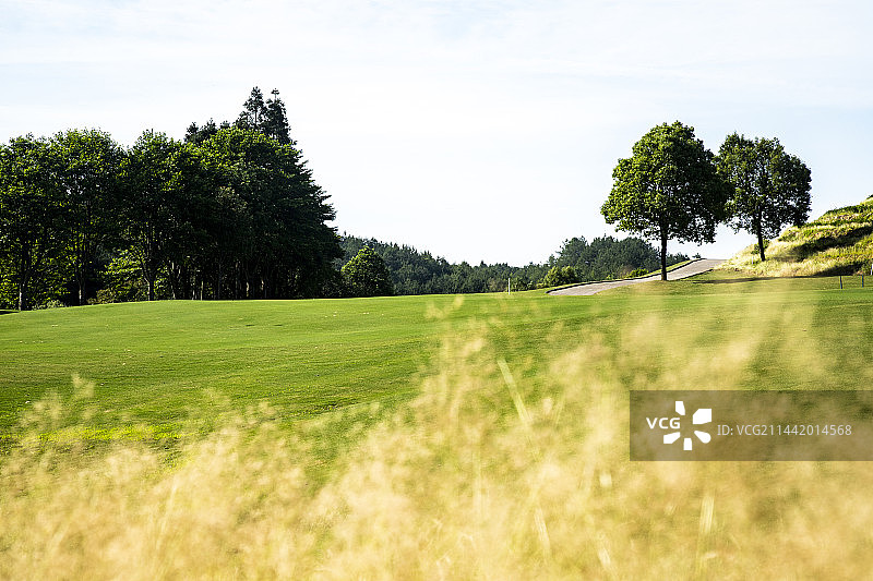 高尔夫图片素材