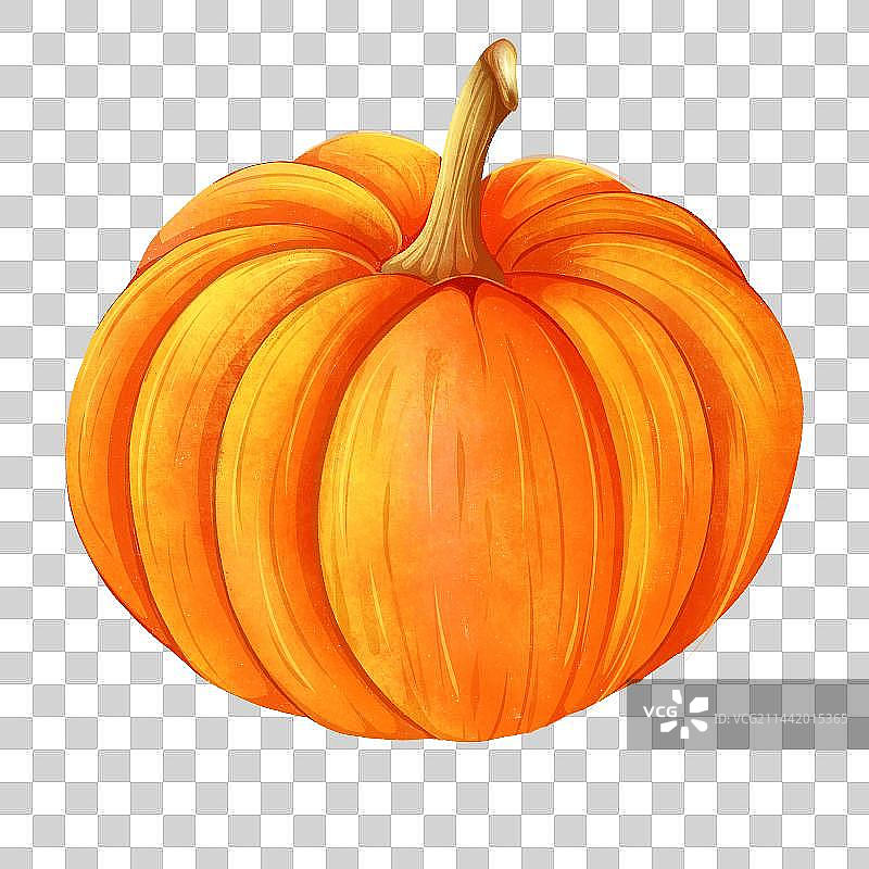 蔬菜南瓜免抠元素图片素材
