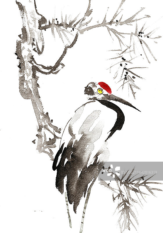 松下的仙鹤图片素材