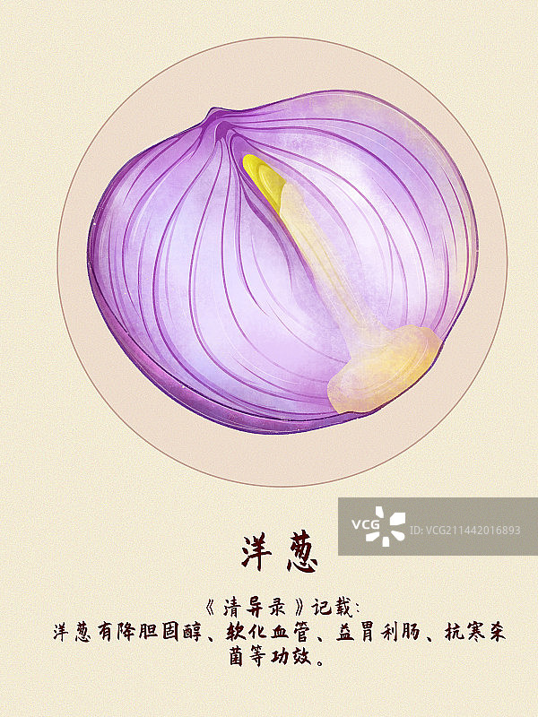 蔬菜洋葱插画图片素材
