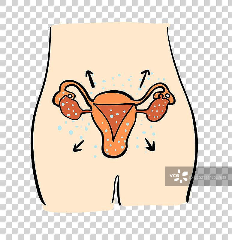卵巢科普图图片素材