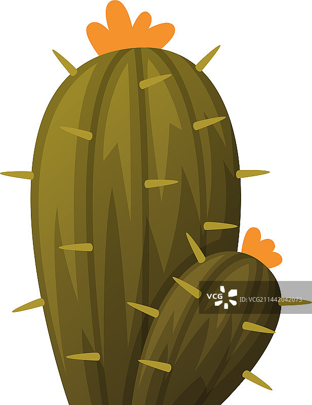 多肉植物仙人掌图片素材