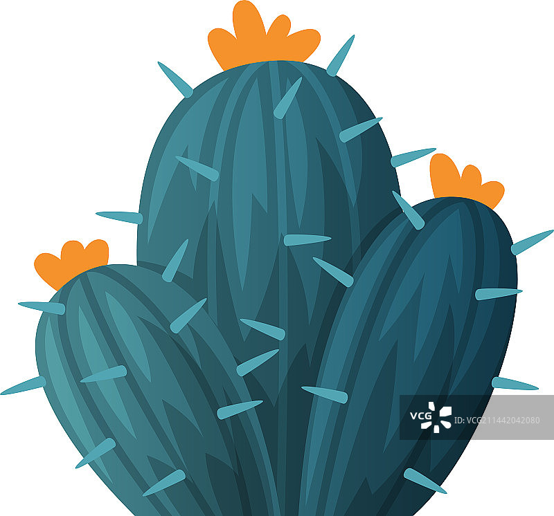 多肉植物仙人掌图片素材