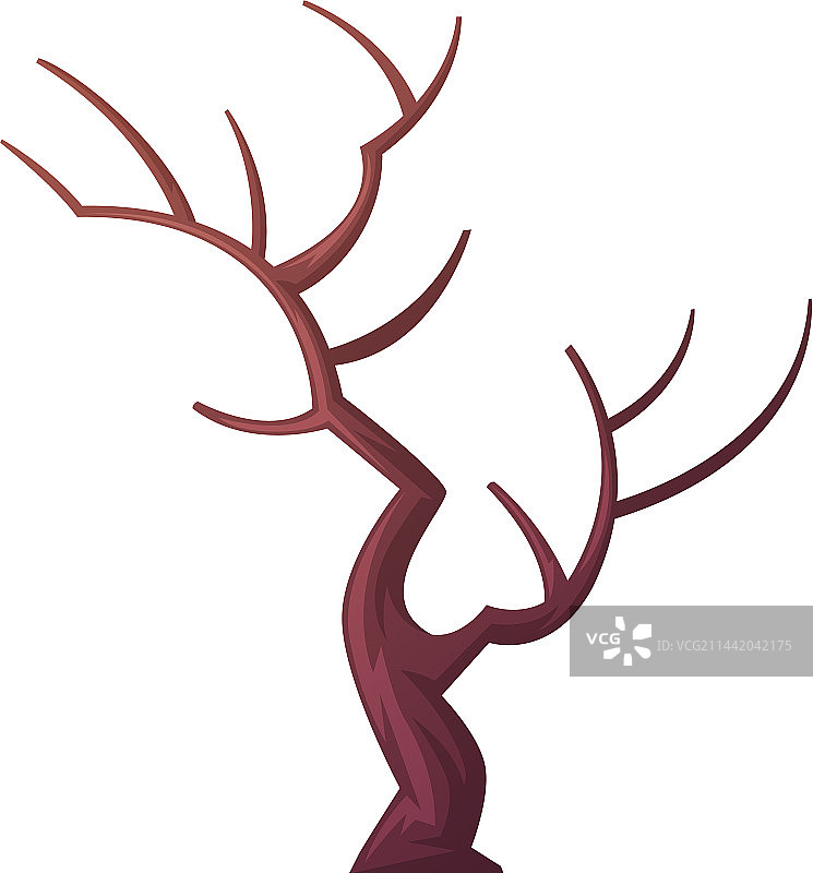 干燥的裸树，作为沙漠元素图片素材