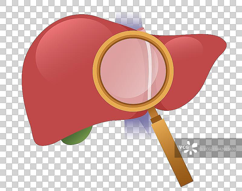 世界肝炎日肝放大镜元素图片素材