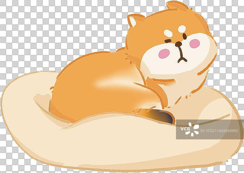 呆萌柴犬狗图片素材