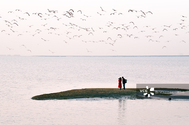 河北乐亭县渤海湾“菩提岛”风光图片素材