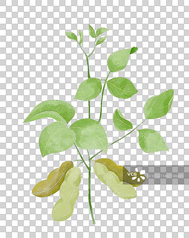 水彩豆腐豆子豆花豆浆图片素材