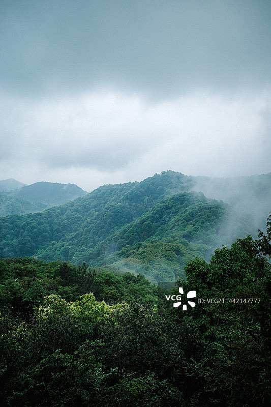 杭州天马山雨后风景图片素材
