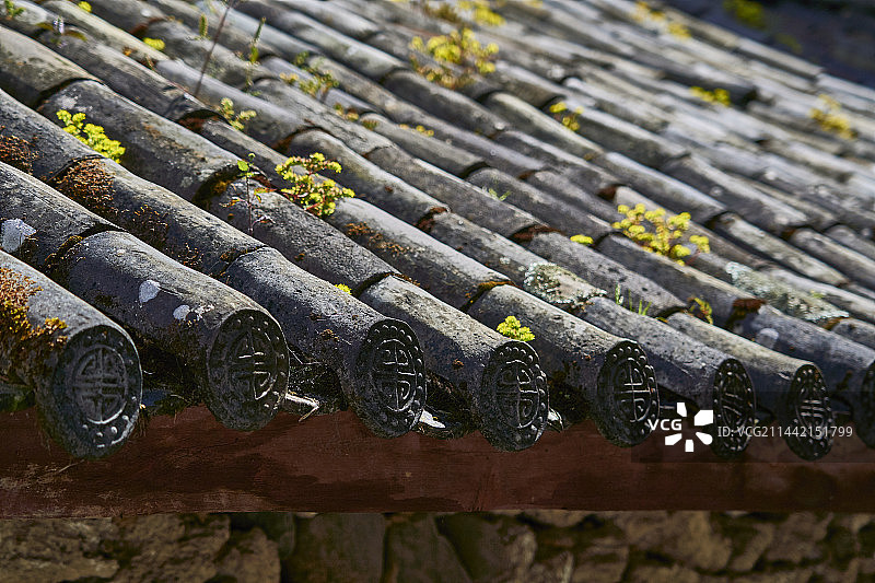 玉龙雪山脚下的村庄图片素材