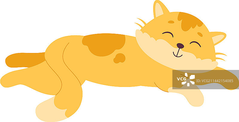 慵懒的睡猫图片素材