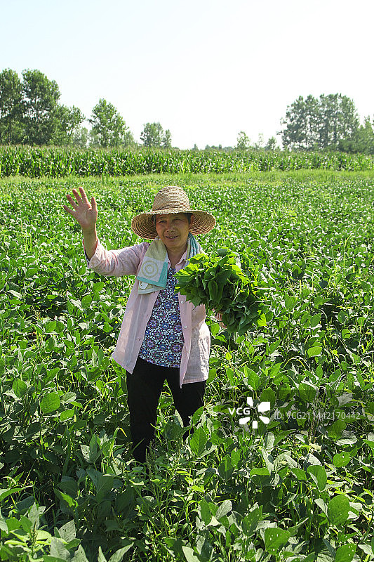 手里拿着苕尖图片素材