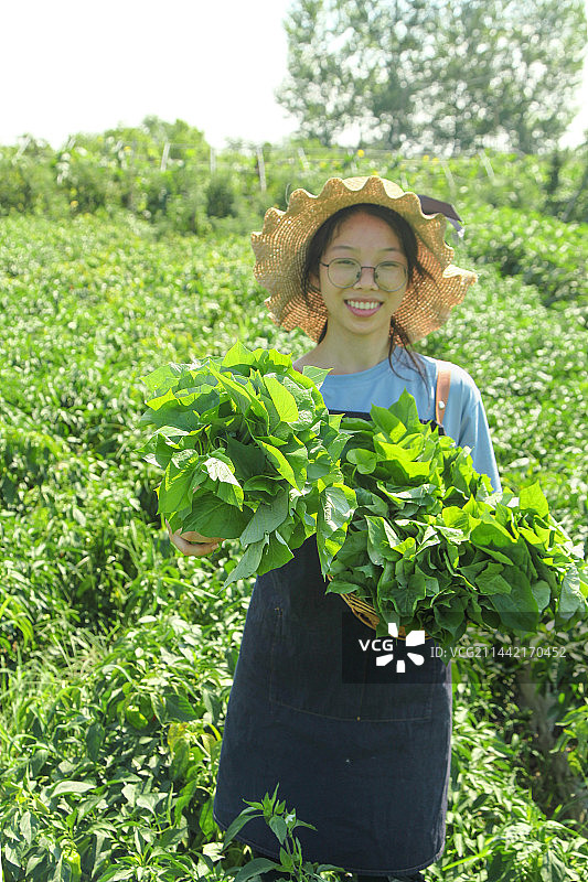 手里拿着苕尖图片素材