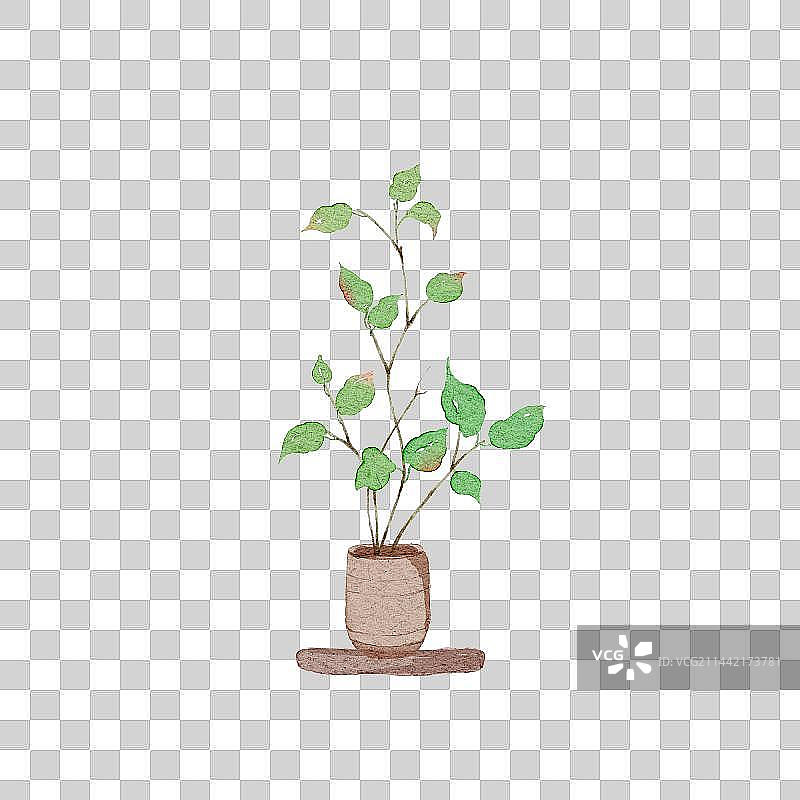小清新水彩风植物盆栽图片素材