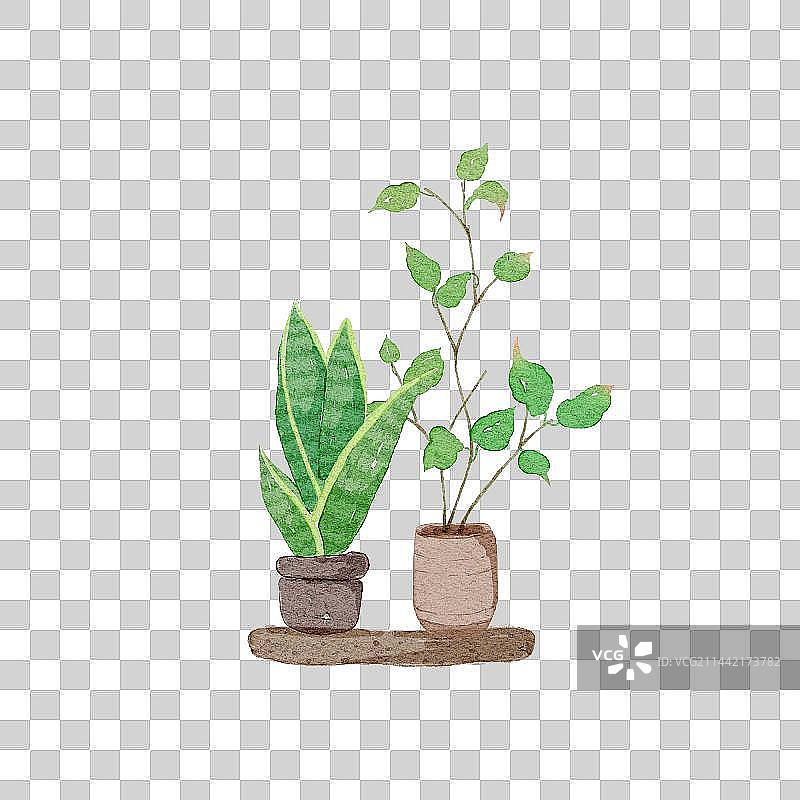 小清新水彩风植物盆栽图片素材