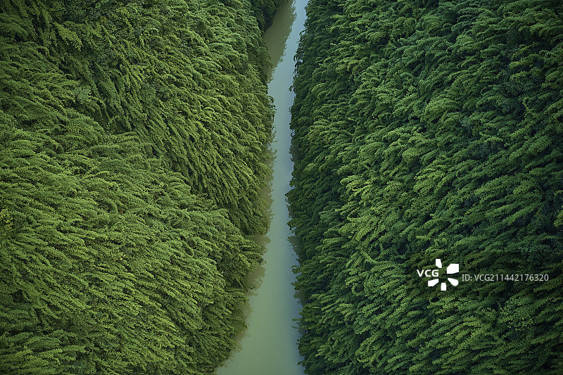 重庆阿依河图片素材