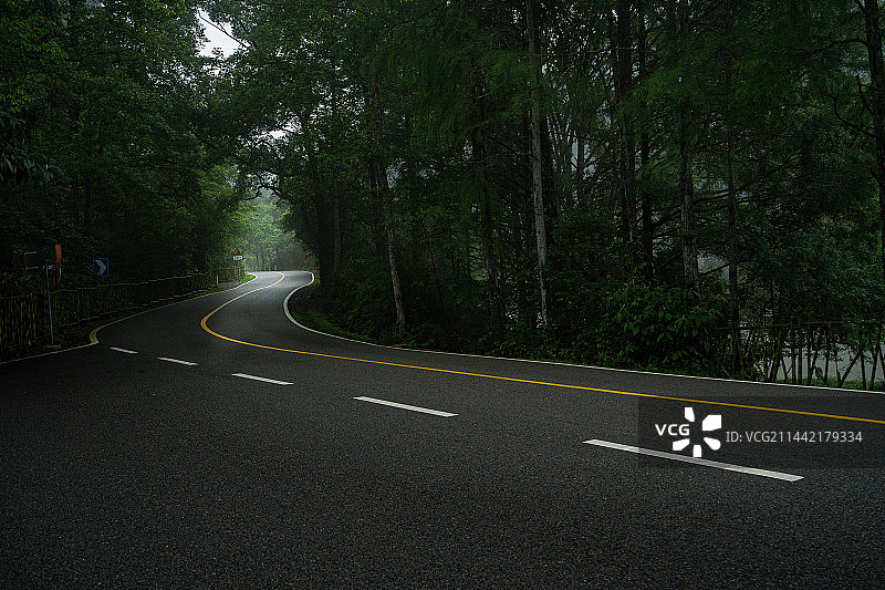 山区树林中穿过的柏油路，福建南平图片素材