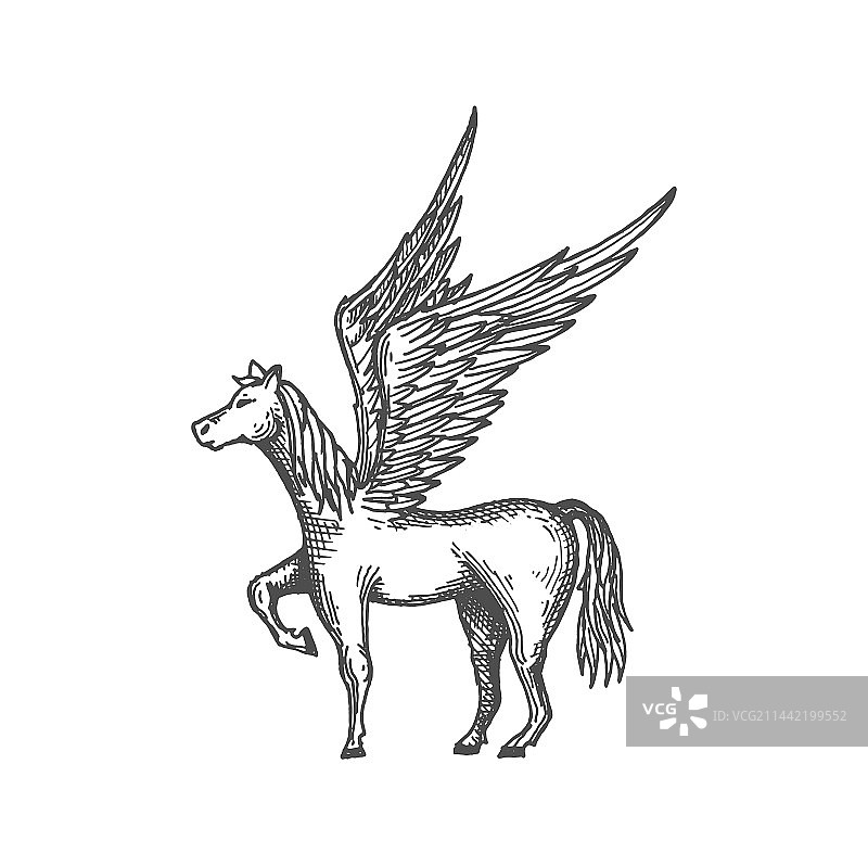 希腊神话中的飞马图片素材