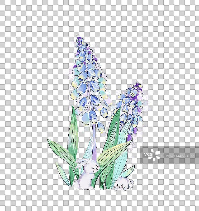 风信子下的兔子图片素材