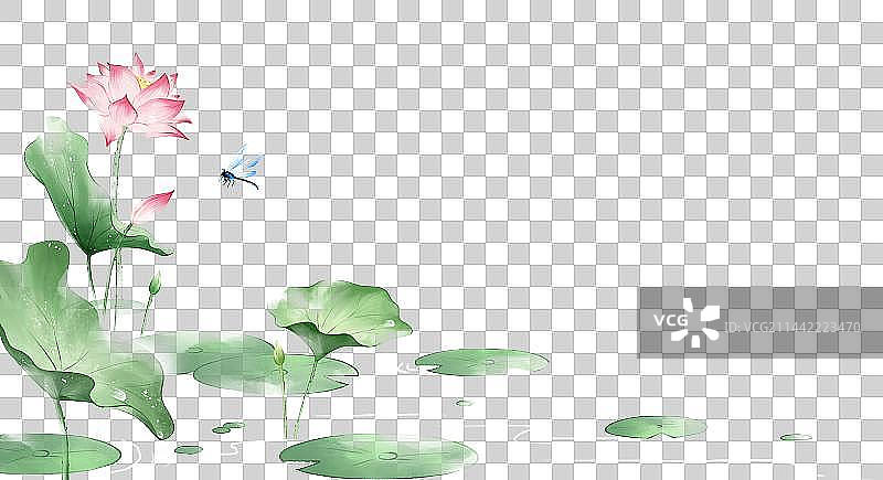 清新夏天节气荷花荷叶手绘水彩壁纸插画图片素材