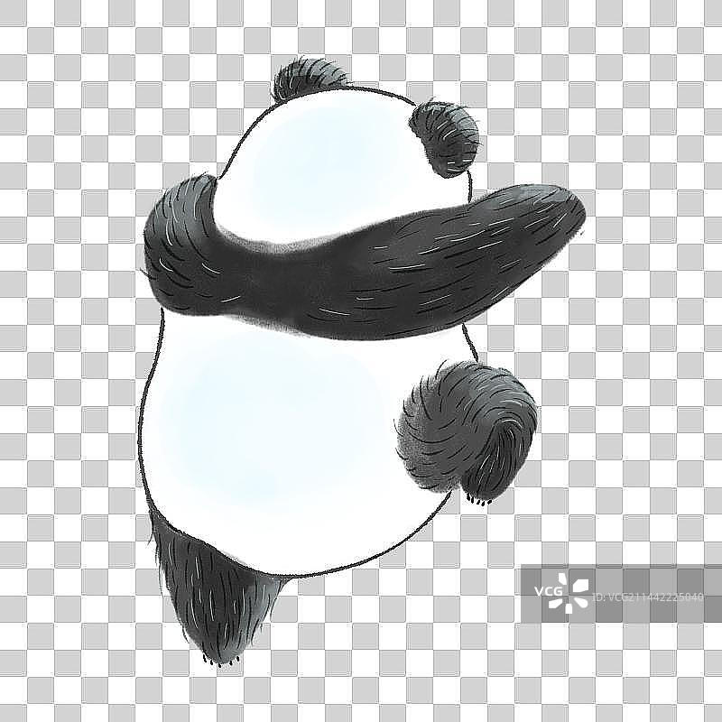 可爱的大熊猫背影图片素材