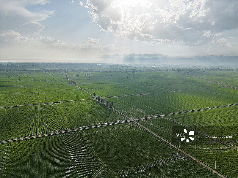 内蒙古高标准农田风光航拍全景图片素材