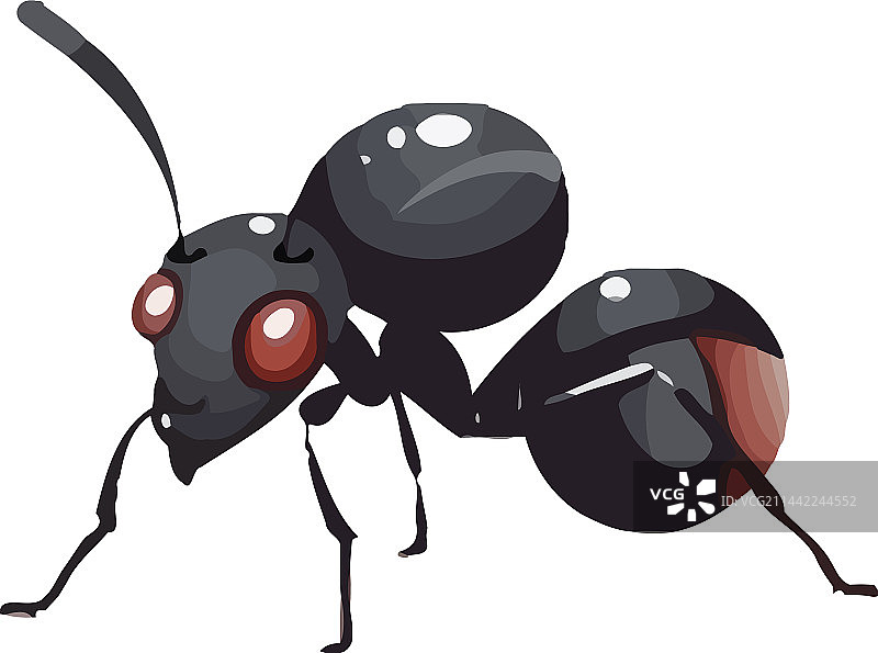 小蚂蚁用触角搬运食物图片素材