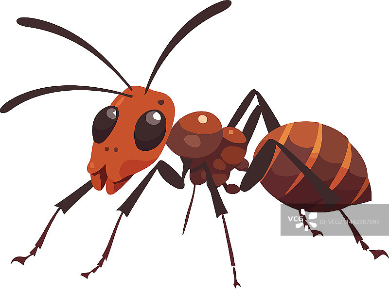 昆虫自然蚂蚁动物图片素材