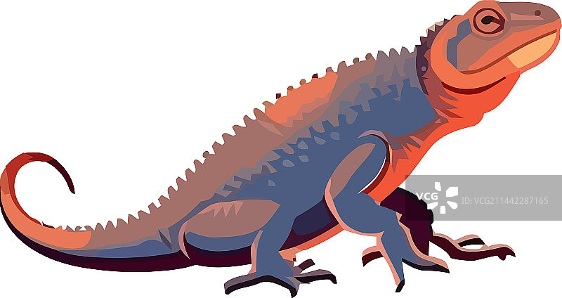 可爱的多色尾巴壁虎爬行图片素材